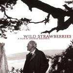 Wild Straberries