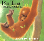 Petit tang l'orang-outrang