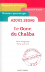 Azouz Begag, "Le gone du Chaâba"