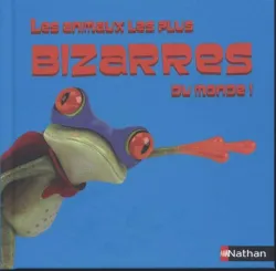 Les animaux les plus bizarres du monde!