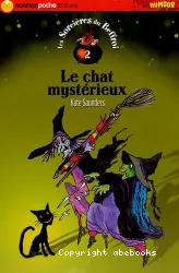 Le chat mystérieux