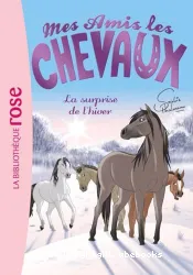 Mes Amis les Chevaux