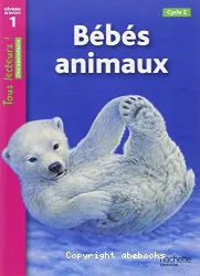 Bébés animaux