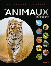 Les animaux de la Jungle