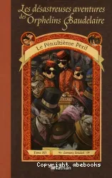 Les désastreuses Aventures des Orphelins Baudelaire Tome 12