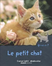 Le petit chat