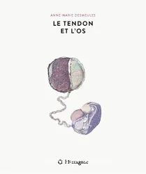 Le tendon et l'os