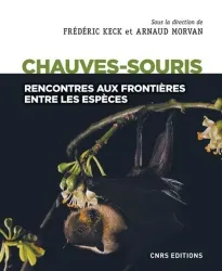 Chauves- souris