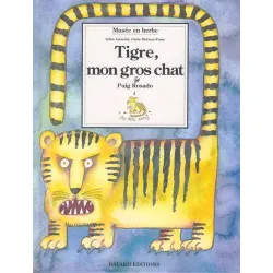 Tigre, mon gros chat