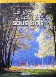 La vie cachée des sous-bois