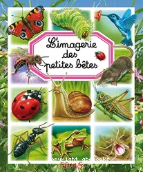 L'imagerie des petites bêtes