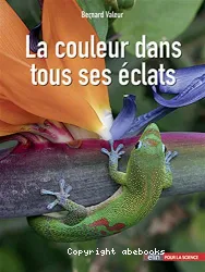 La couleur dans tous ses éclats