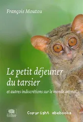 Le petit déjeuner du tarsier