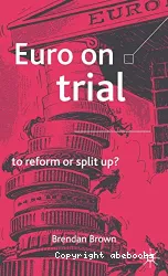 Euro on trial