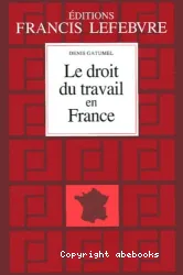 Le Droit du travail en France 2004-2005