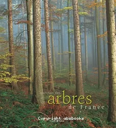 Portrait des arbres de France