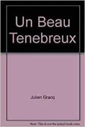 Un beau ténébreux