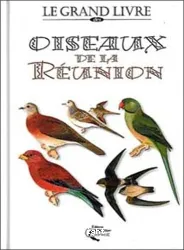 Oiseaux de la Réunion