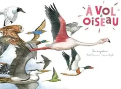 A vol d'oiseau