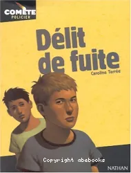 Délit de fuite