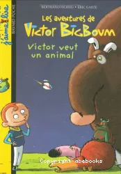 Les Aventures de Victor BigBoum