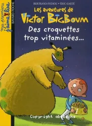 Les Aventures de Victor BigBoum