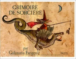 Grimoire de sorcière