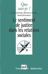 Le Sentiment de justice dans relations sociales