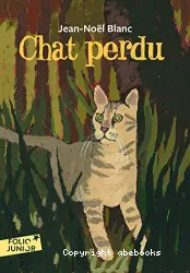 Chat perdu