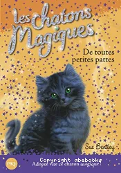 Les chatons magiques : De toutes petites pattes