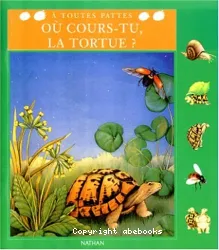 Où cours-tu, la tortue ?